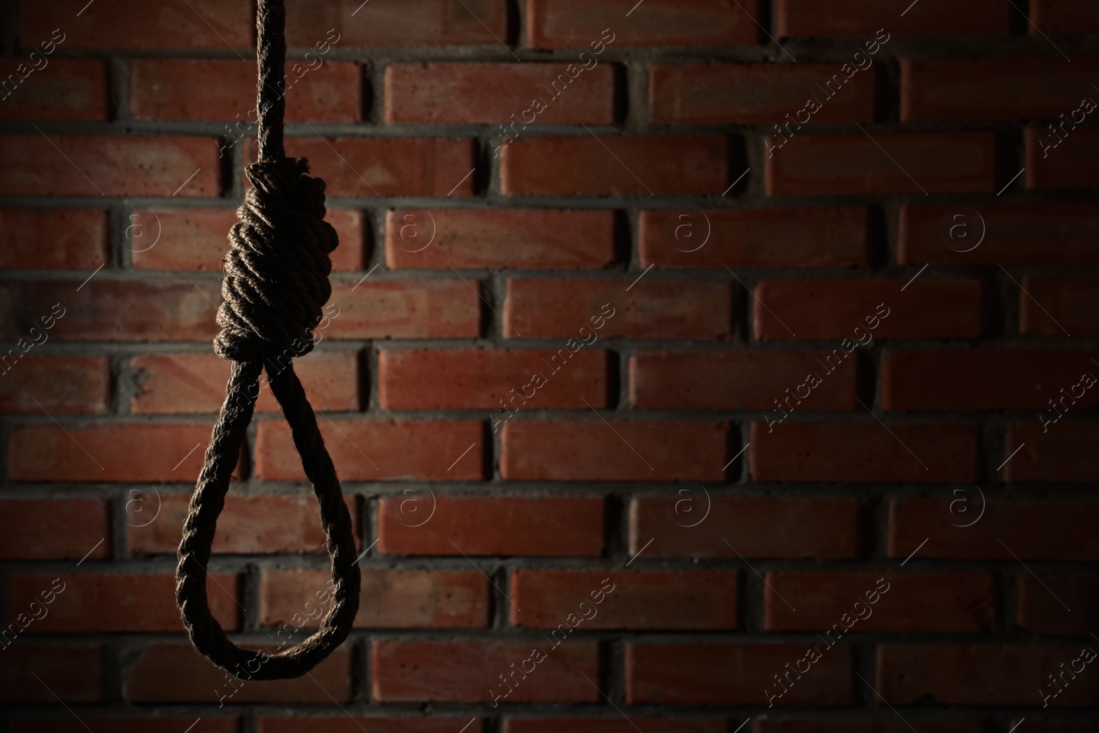 Photo of Rope noose with knot hanging near brick wall, space for text