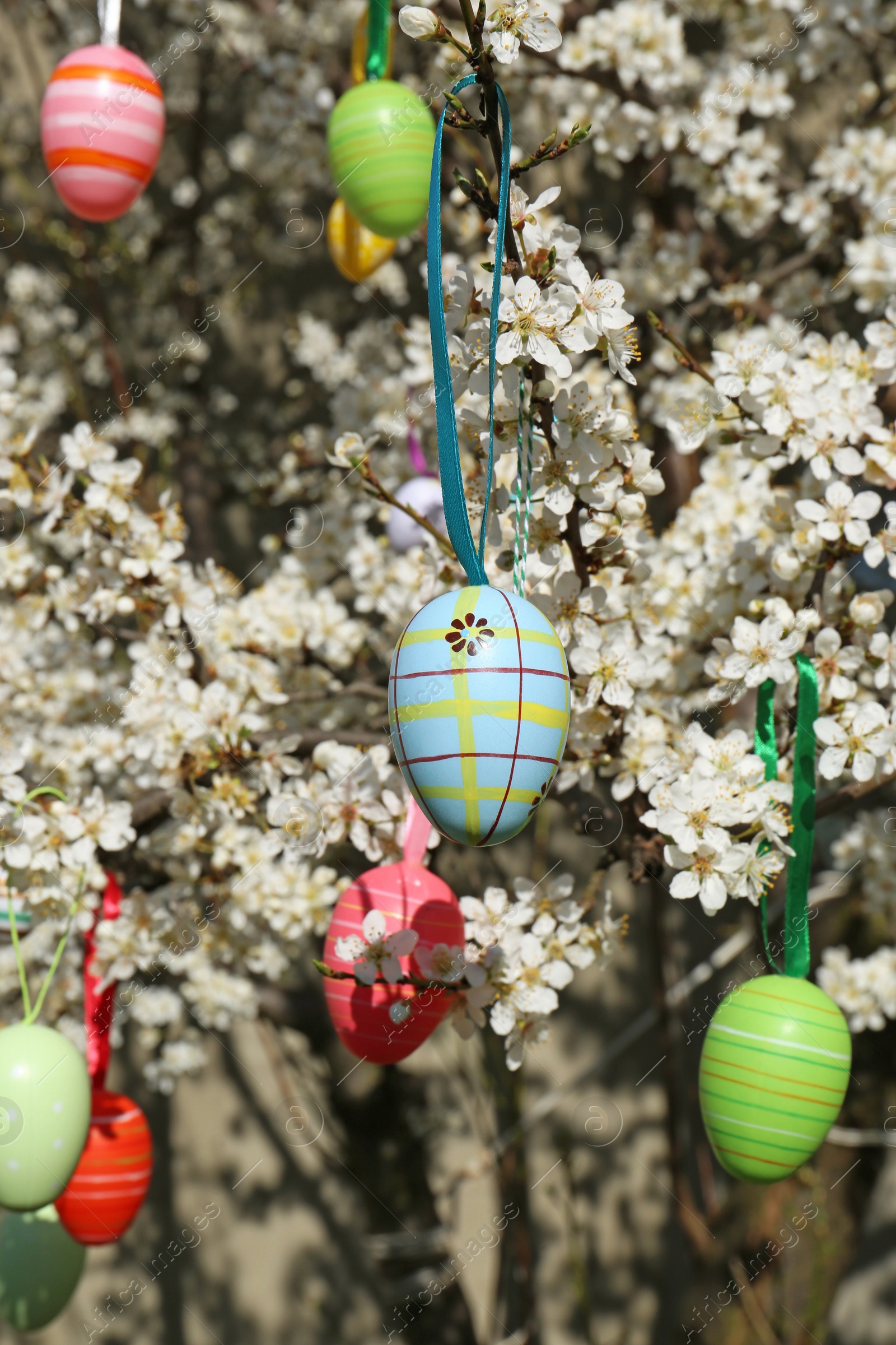 Photo of Beautifully painted Easter eggs hanging on blooming cherry tree outdoors