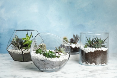 Photo of Glass florariums with different succulents on table against color background, space for text