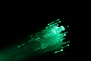 Optical fiber strands transmitting green light on black background, macro view