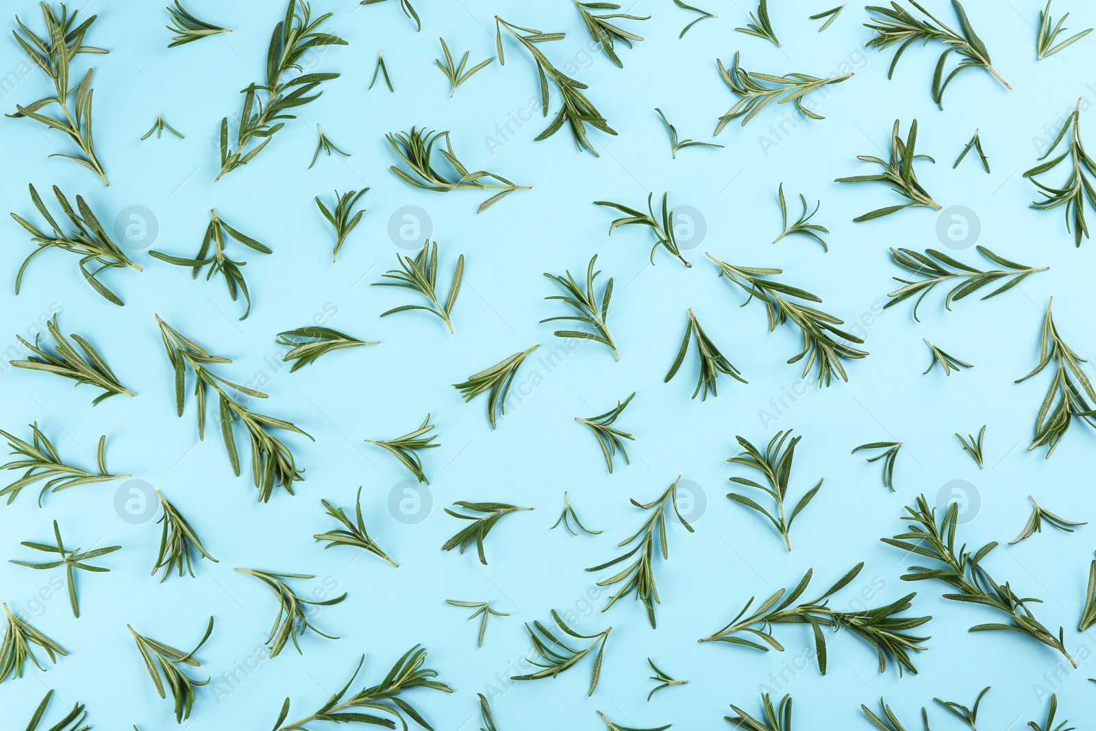 Photo of Flat lay composition with fresh rosemary on light blue background