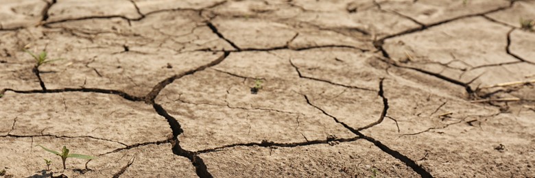 Image of Dry cracked ground as background, closeup. Banner design