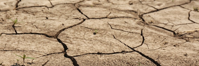 Dry cracked ground as background, closeup. Banner design