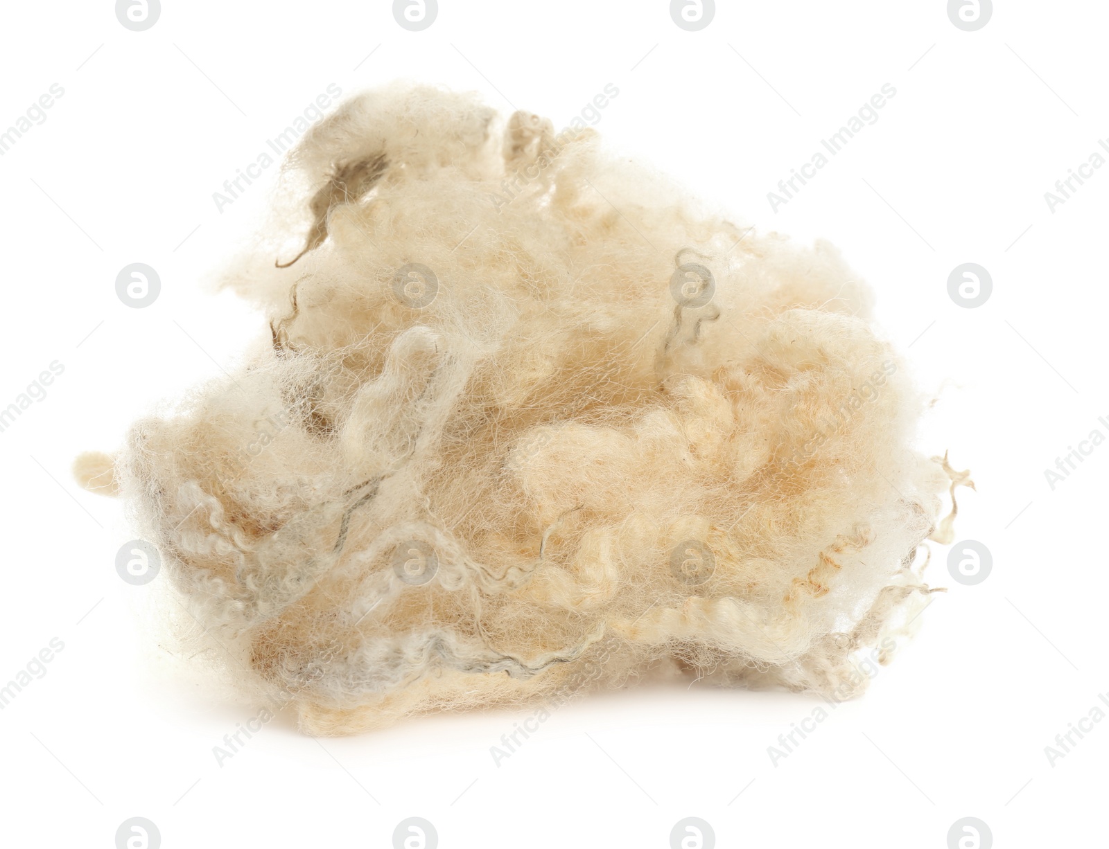 Photo of Heap of raw wool isolated on white