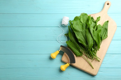 Photo of Fresh green sorrel leaves, mezzaluna knife and thread on light blue wooden table, flat lay. Space for text