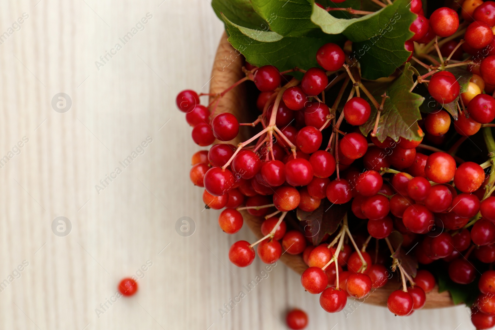 Photo of Bowl with tasty viburnum berries on white wooden table, flat lay. Space for text