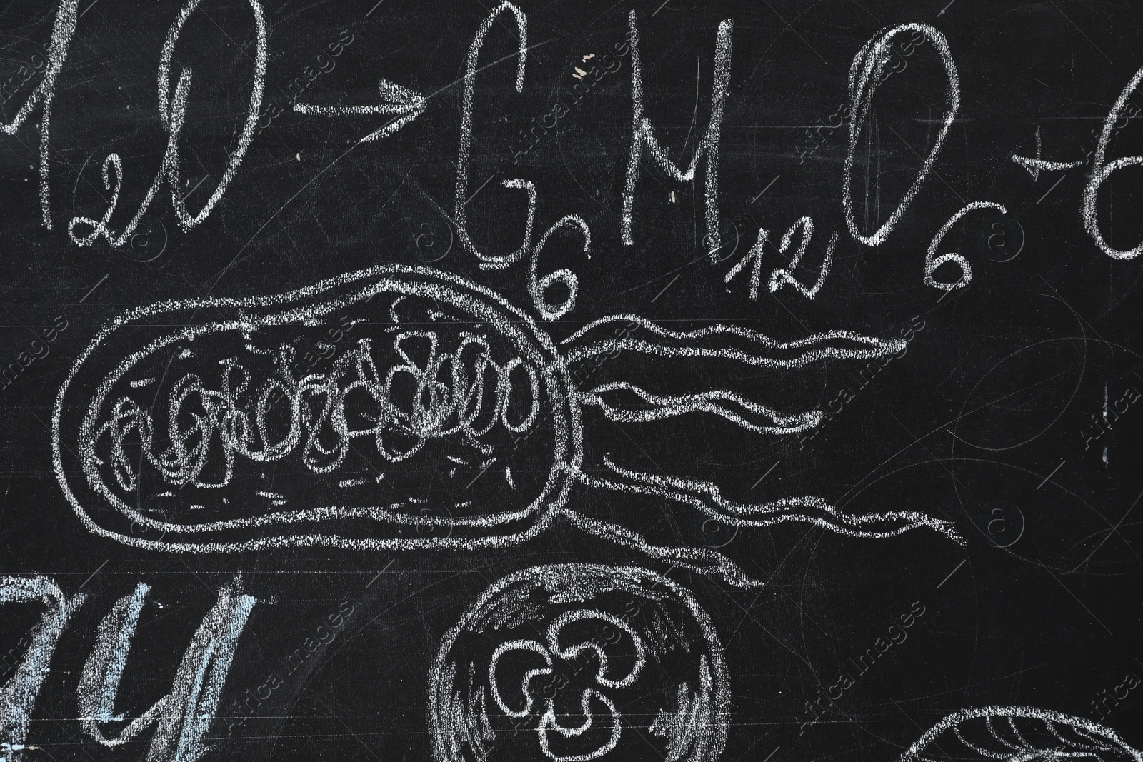 Photo of Chemical formulas and different pictures drawn on blackboard