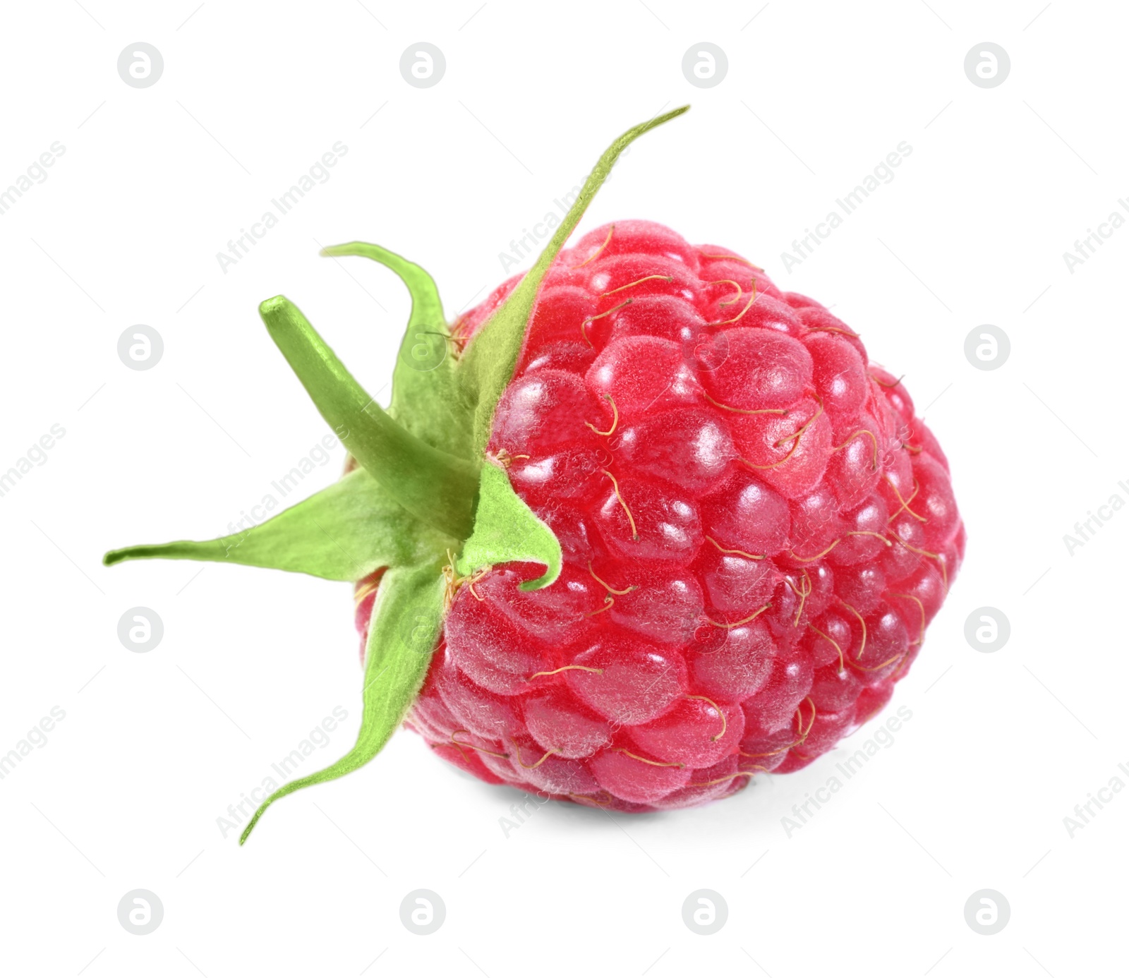 Photo of One tasty ripe raspberry isolated on white