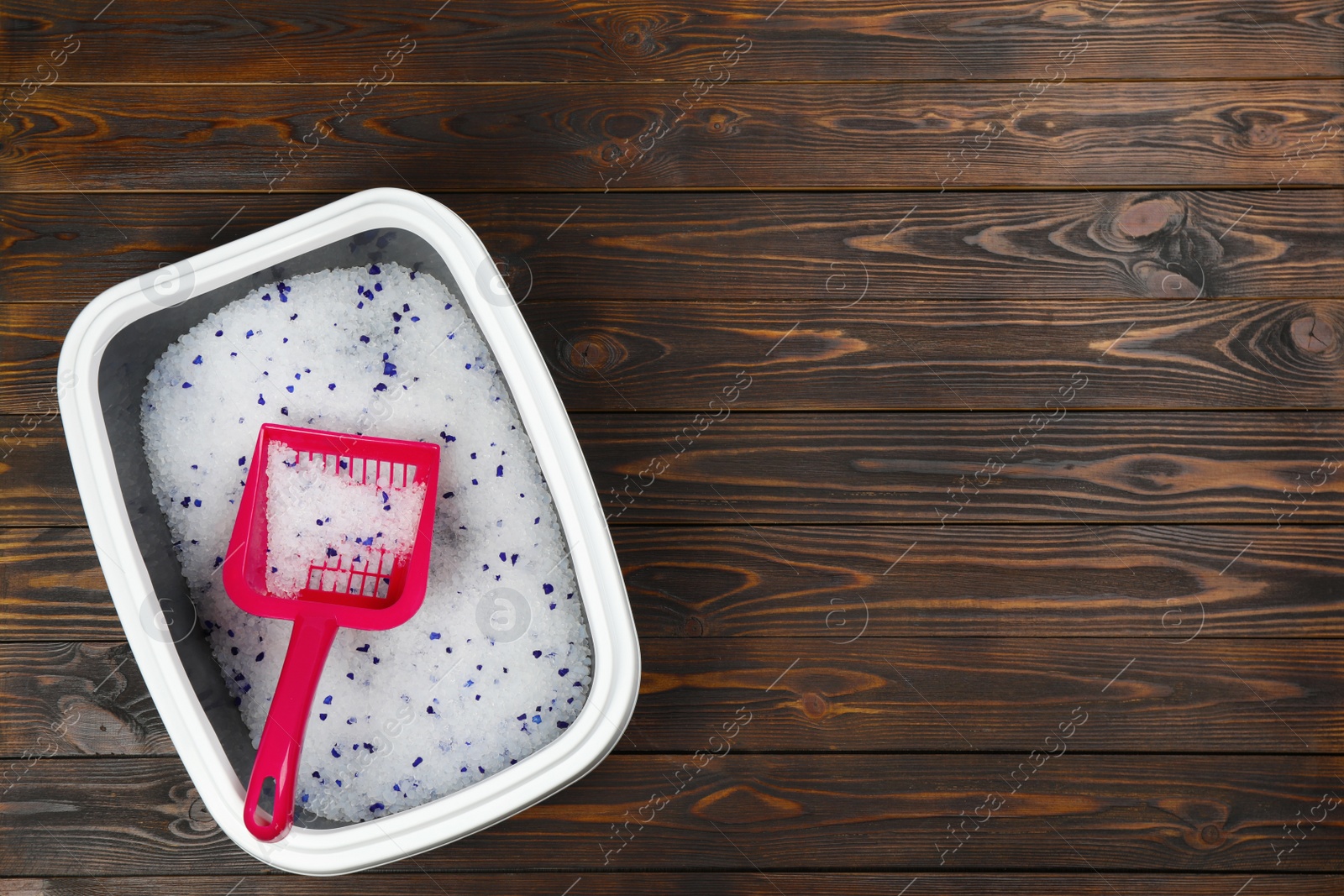 Photo of Cat litter tray with filler and scoop on wooden background, top view. Space for text