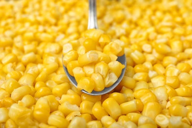 Photo of Spoon and frozen corn, closeup. Vegetable preservation