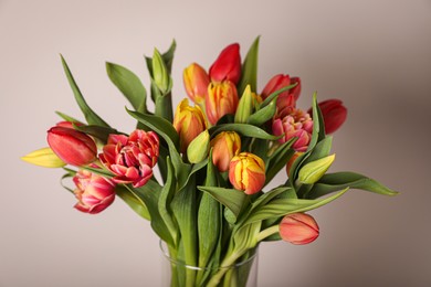 Photo of Beautiful bouquet of colorful tulips in glass vase on beige background