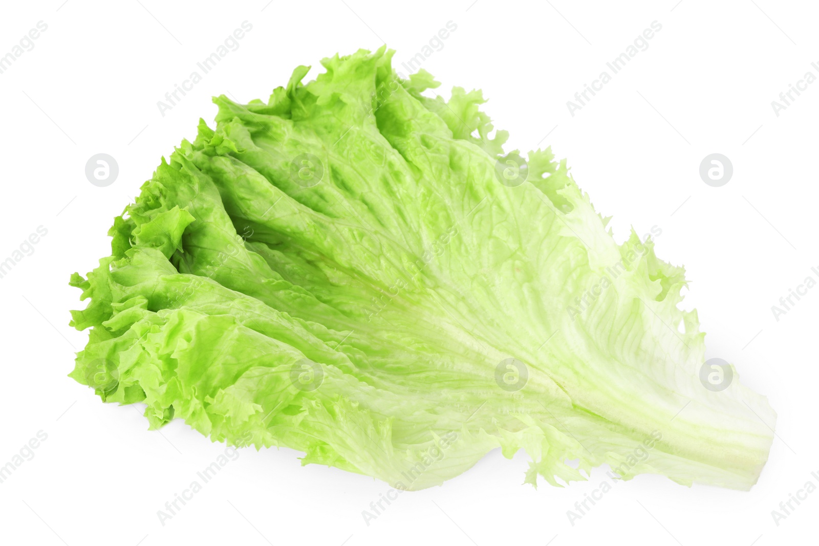 Photo of Leaf of fresh lettuce isolated on white. Salad greens