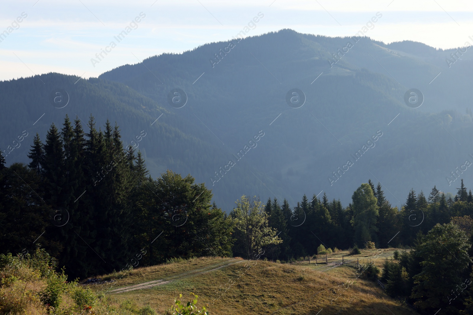 Photo of Beautiful mountain landscape with green trees on sunny day