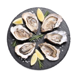 Photo of Fresh raw oysters served on white background, top view