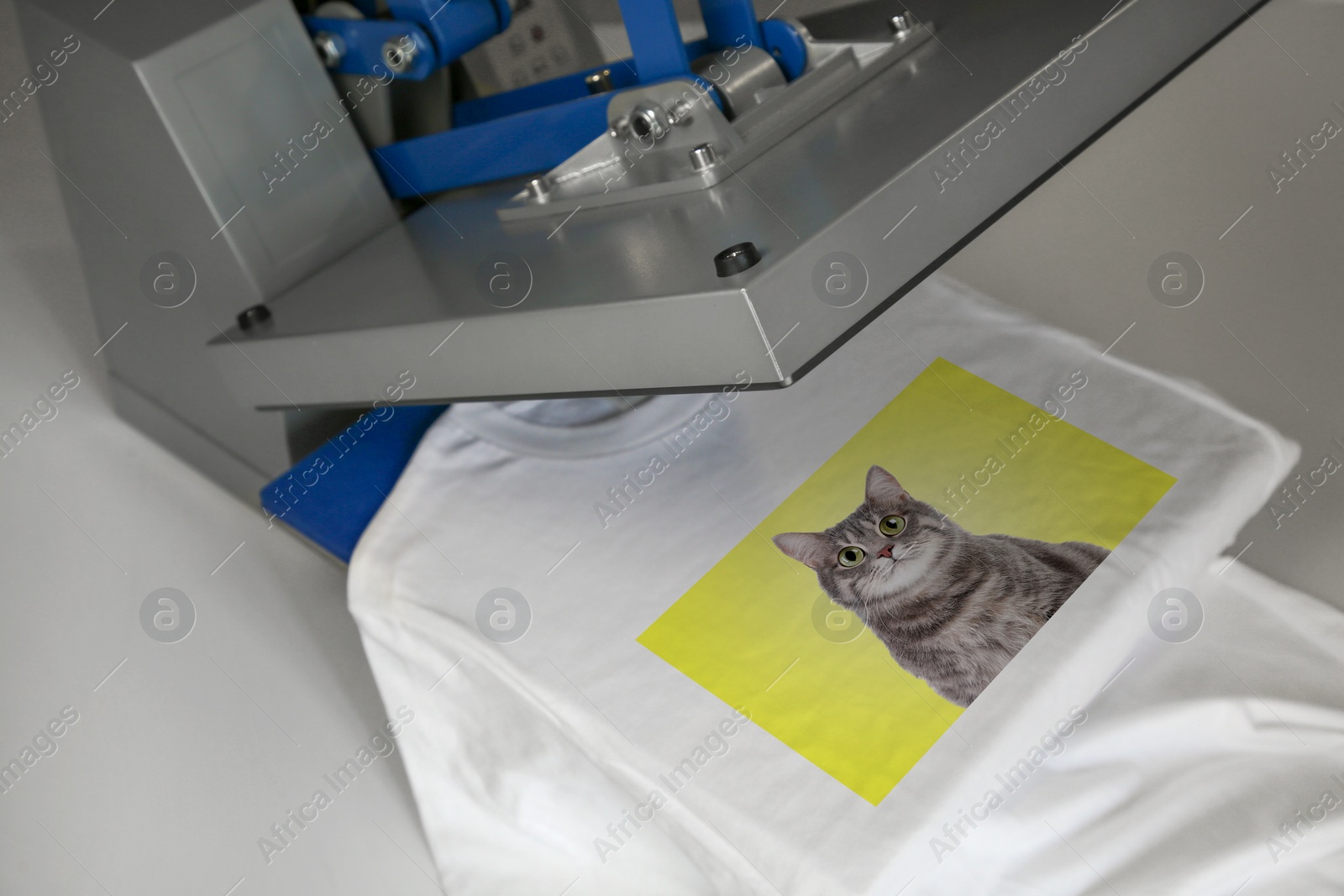 Image of Custom t-shirt. Using heat press to print photo of cute cat