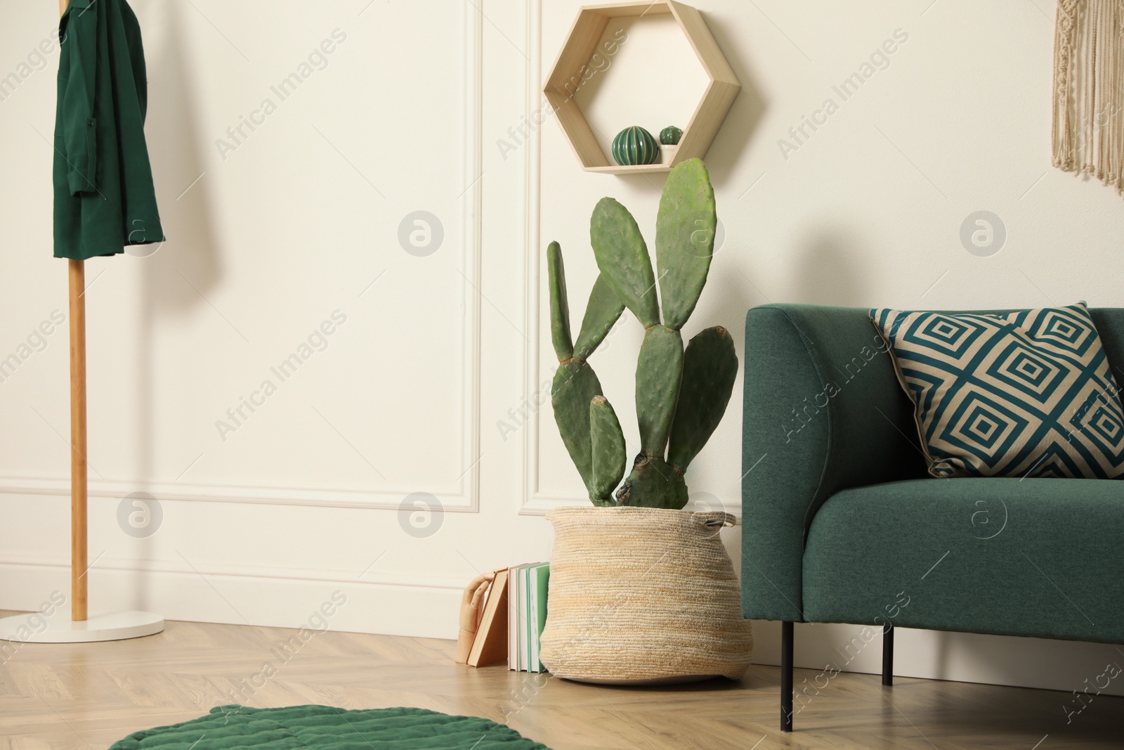 Photo of Stylish living room interior with beautiful potted cactus and modern furniture