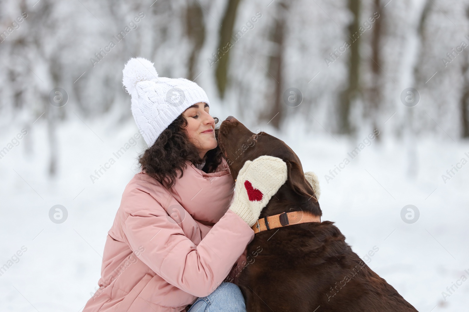 Photo of Woman with adorable Labrador Retriever dog in snowy park