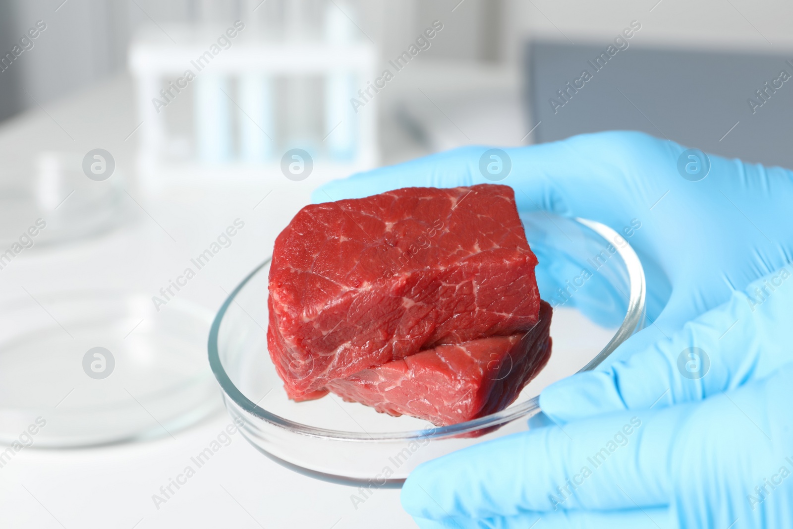 Photo of Scientist holding Petri dish with pieces of raw cultured meat in laboratory, closeup