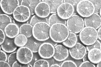 Image of Many fresh lemon slices as background, top view. Black and white tone  
