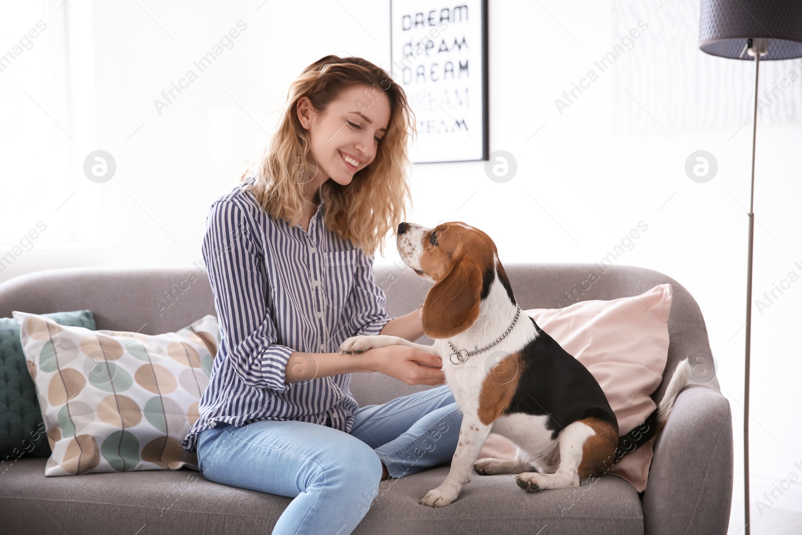 Photo of Young woman with her dog on sofa at home