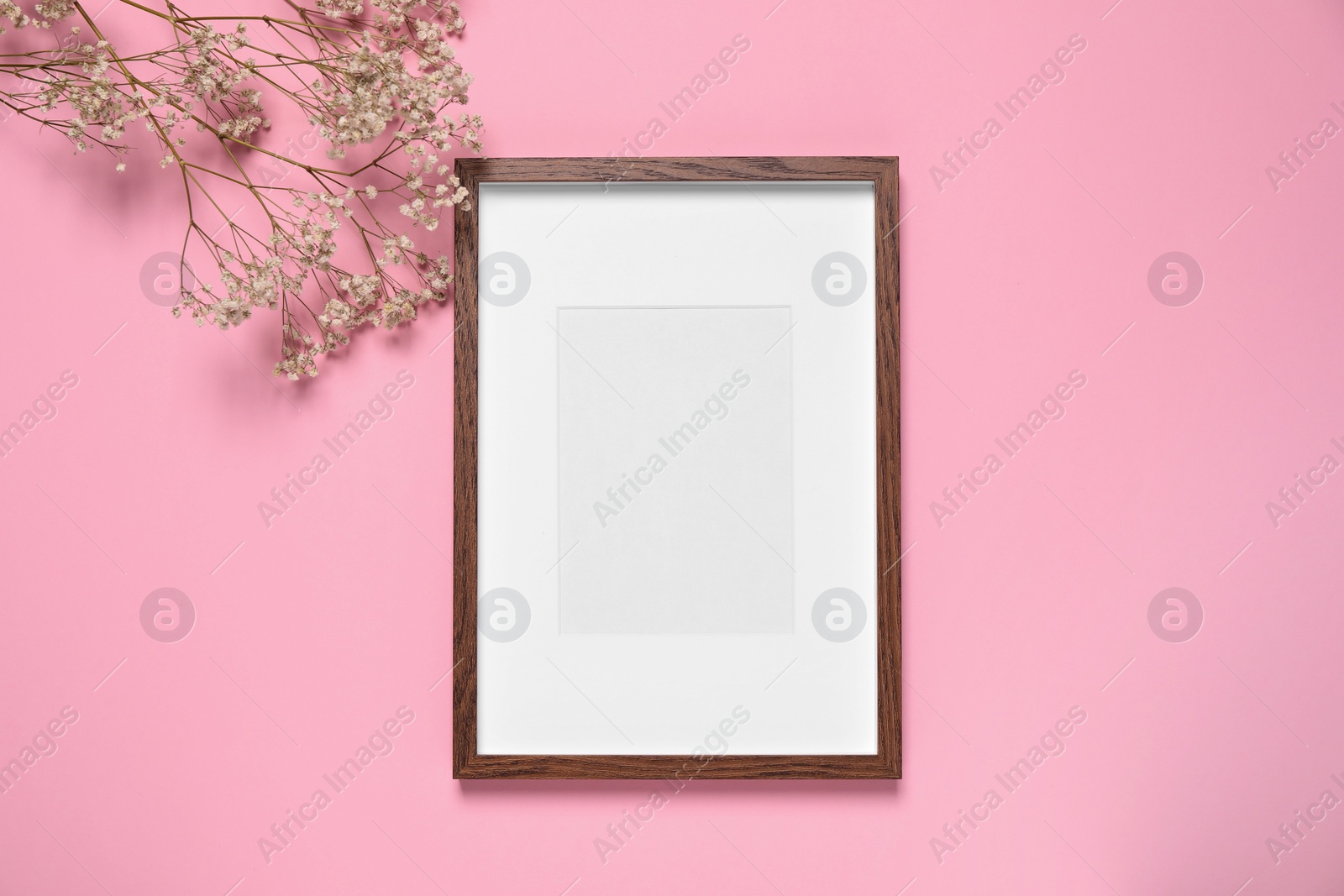 Photo of Empty photo frame and gypsophila flowers on pink background, flat lay. Space for design