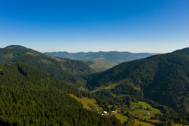 Image of Beautiful landscape with forest and village in mountains. Drone photography