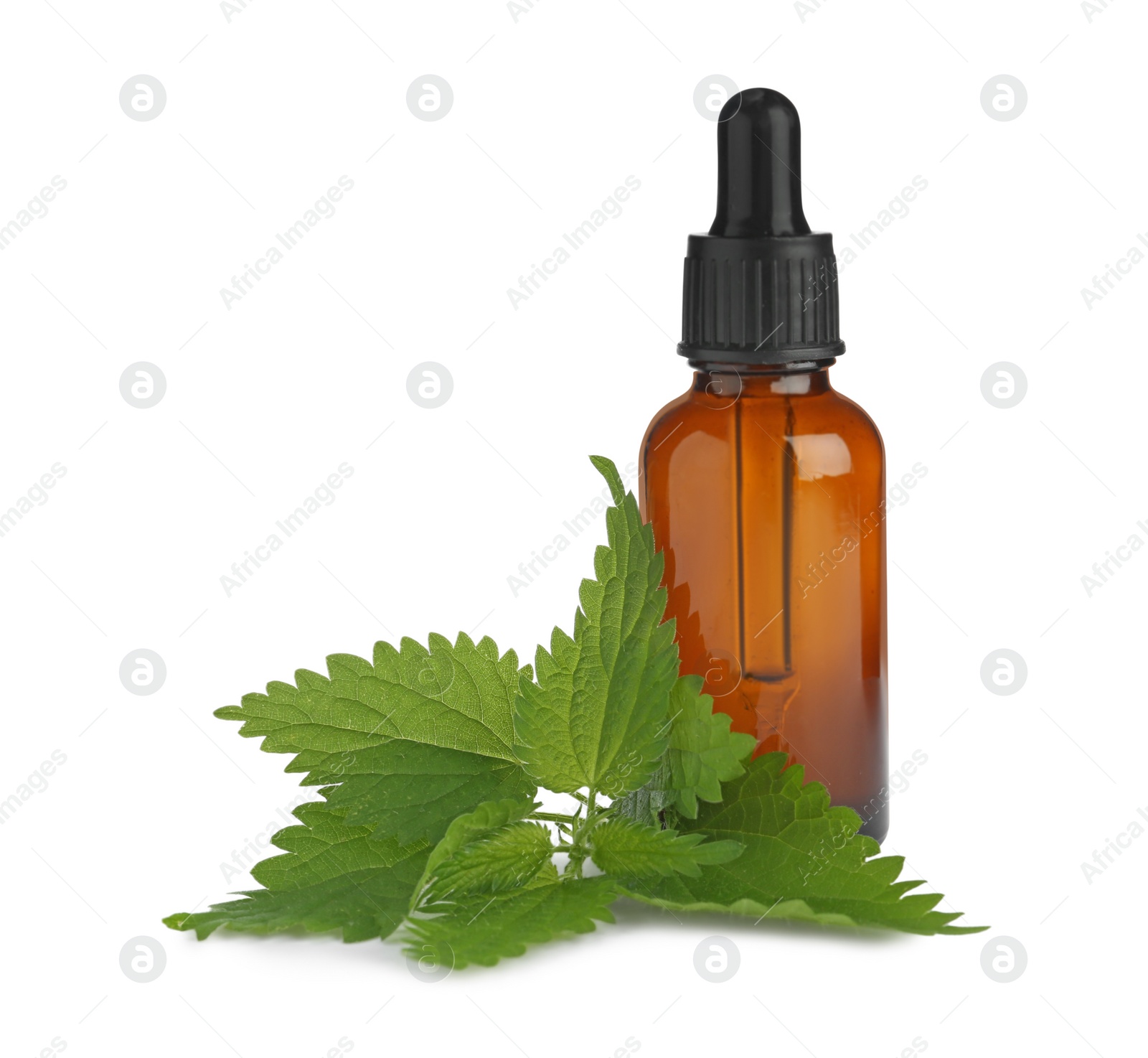 Photo of Glass bottle of nettle oil with dropper and leaves isolated on white