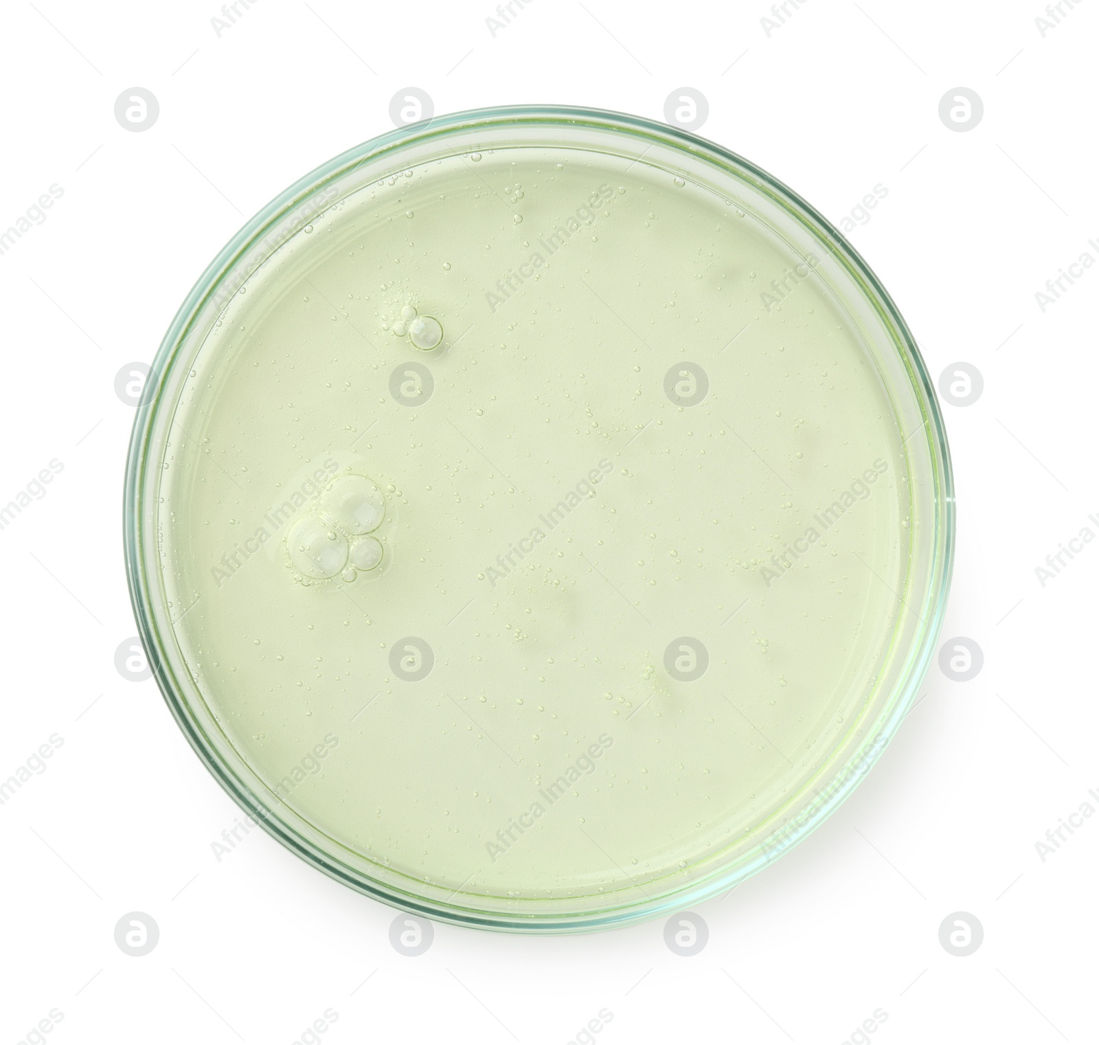 Photo of Petri dish with liquid sample on white background, top view