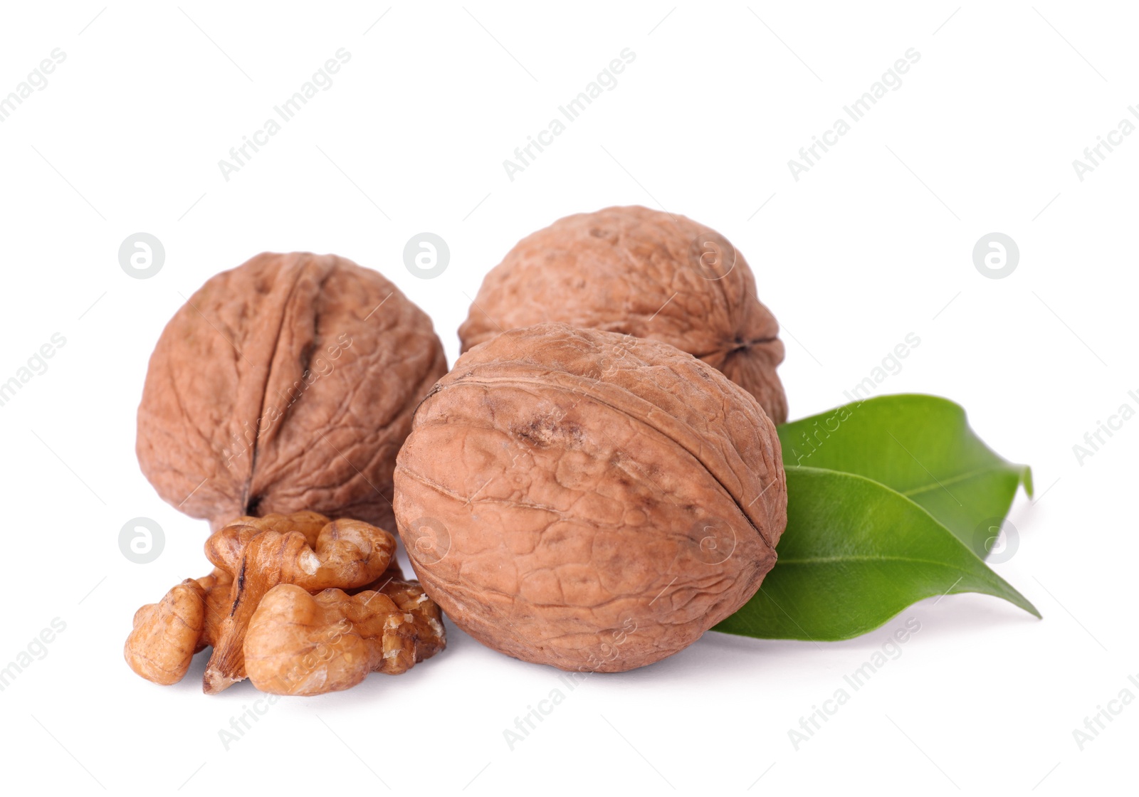 Photo of Walnuts in shell, kernel and green leaves on white background