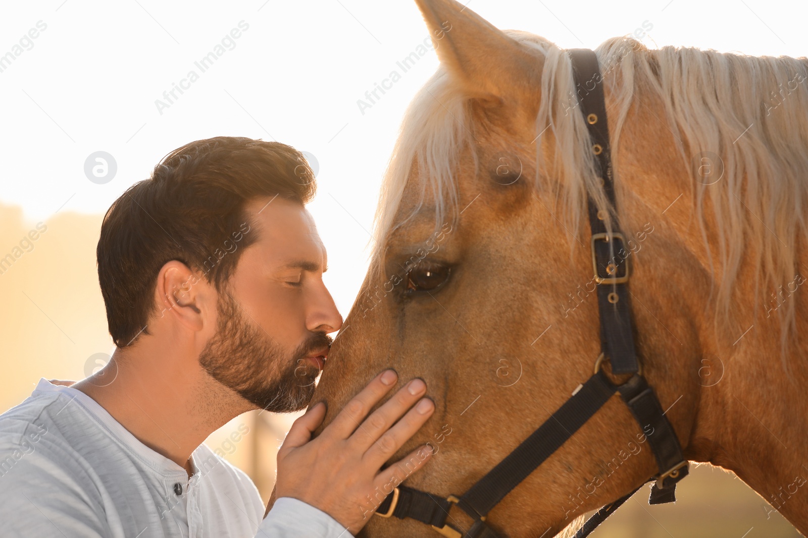 Photo of Handsome man with adorable horse outdoors on sunny day. Lovely domesticated pet