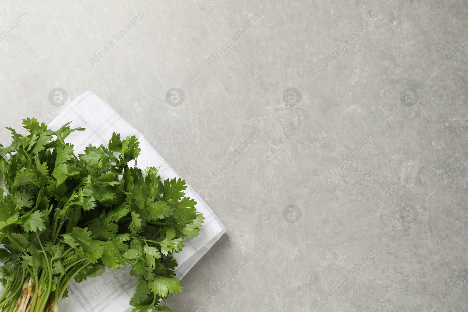 Photo of Bunch of fresh aromatic cilantro on grey table, top view. Space for text