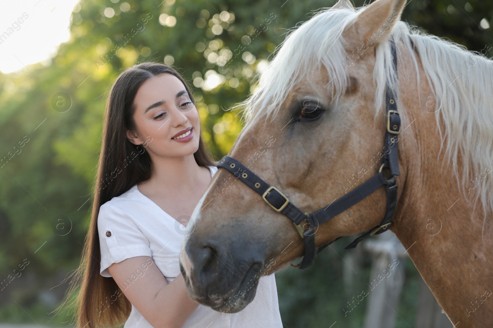 Photo of Beautiful woman with adorable horse outdoors. Lovely domesticated pet