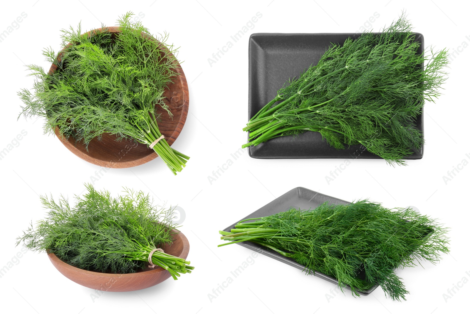 Image of Collage with bunches of fresh dill isolated on white, top and side views