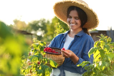 Photo of Happy woman holding wicker basket with ripe raspberries outdoors