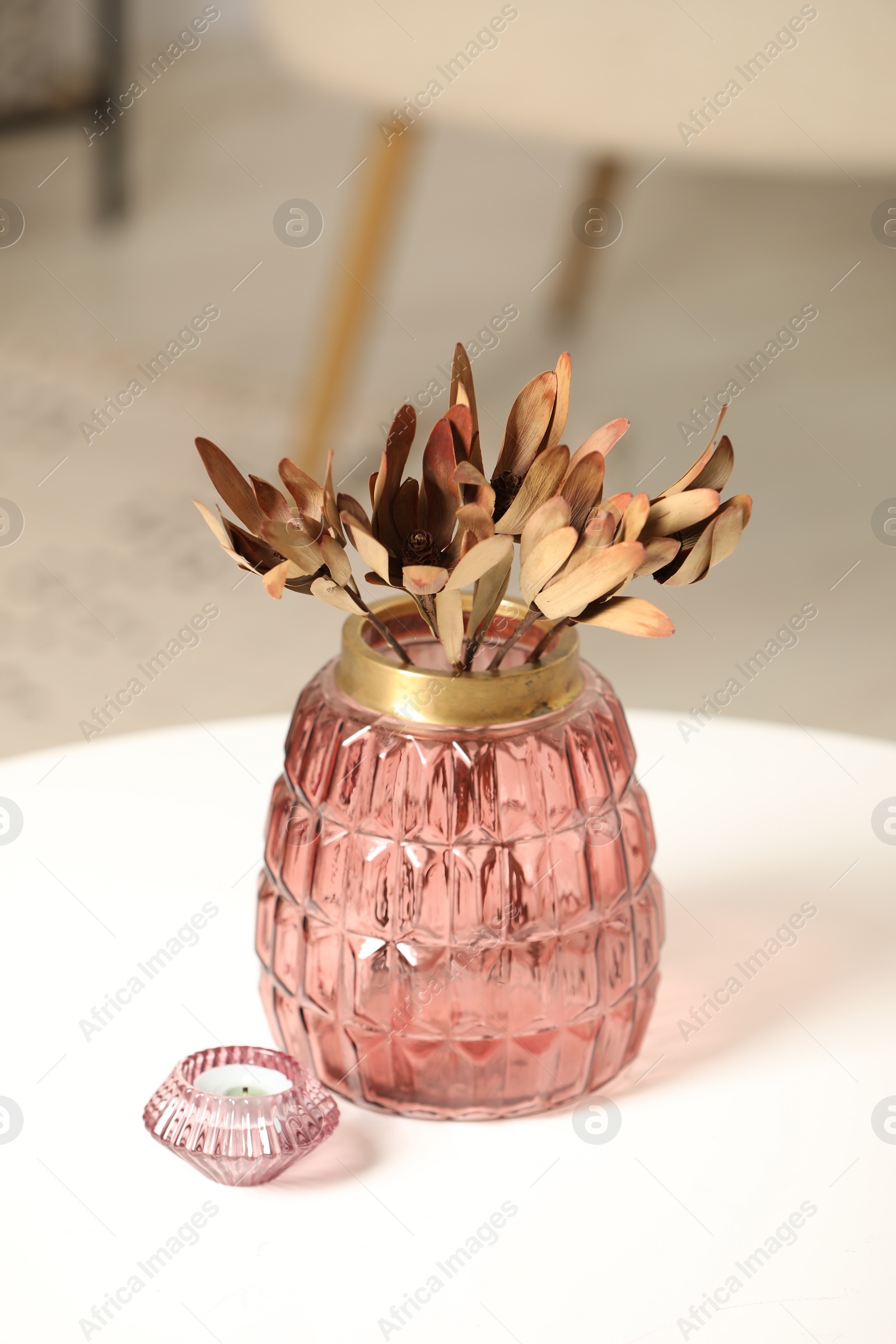 Photo of Vase with beautiful dried leucadendron plants and candle on white table in room