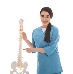 Photo of Young orthopedist with human spine model on white background