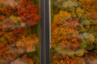 Image of Aerial view of road going through beautiful autumn forest