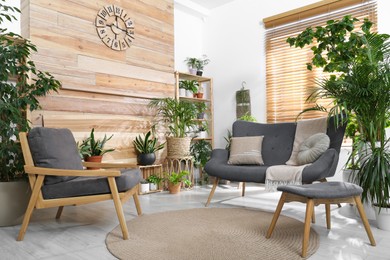 Photo of Comfortable furniture and beautiful houseplants in room. Lounge are interior