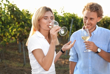 Photo of Couple drinking wine and having fun on vineyard picnic