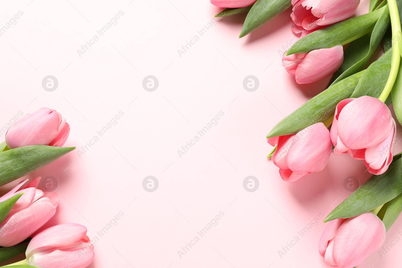 Photo of Happy Mother's Day. Beautiful tulips on pink background, flat lay. Space for text