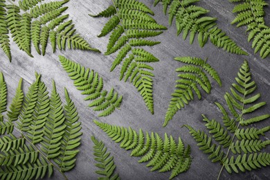 Beautiful tropical fern leaves on grey stone background, flat lay