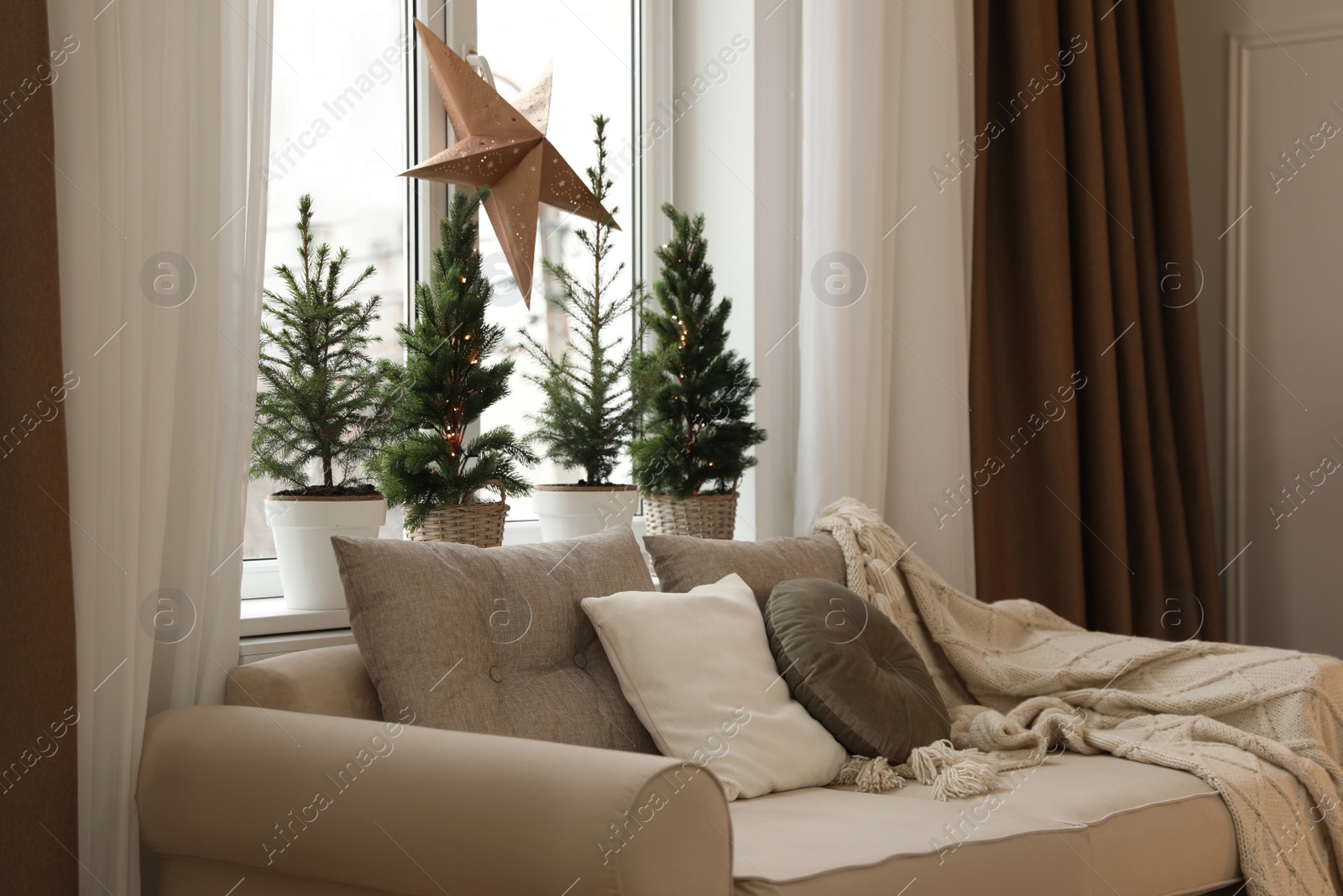 Photo of Sofa near window with small fir trees in room. Interior design