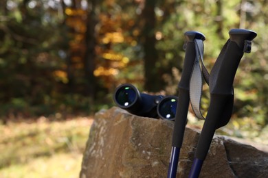 Photo of Binoculars and trekking poles in forest on sunny day. Space for text