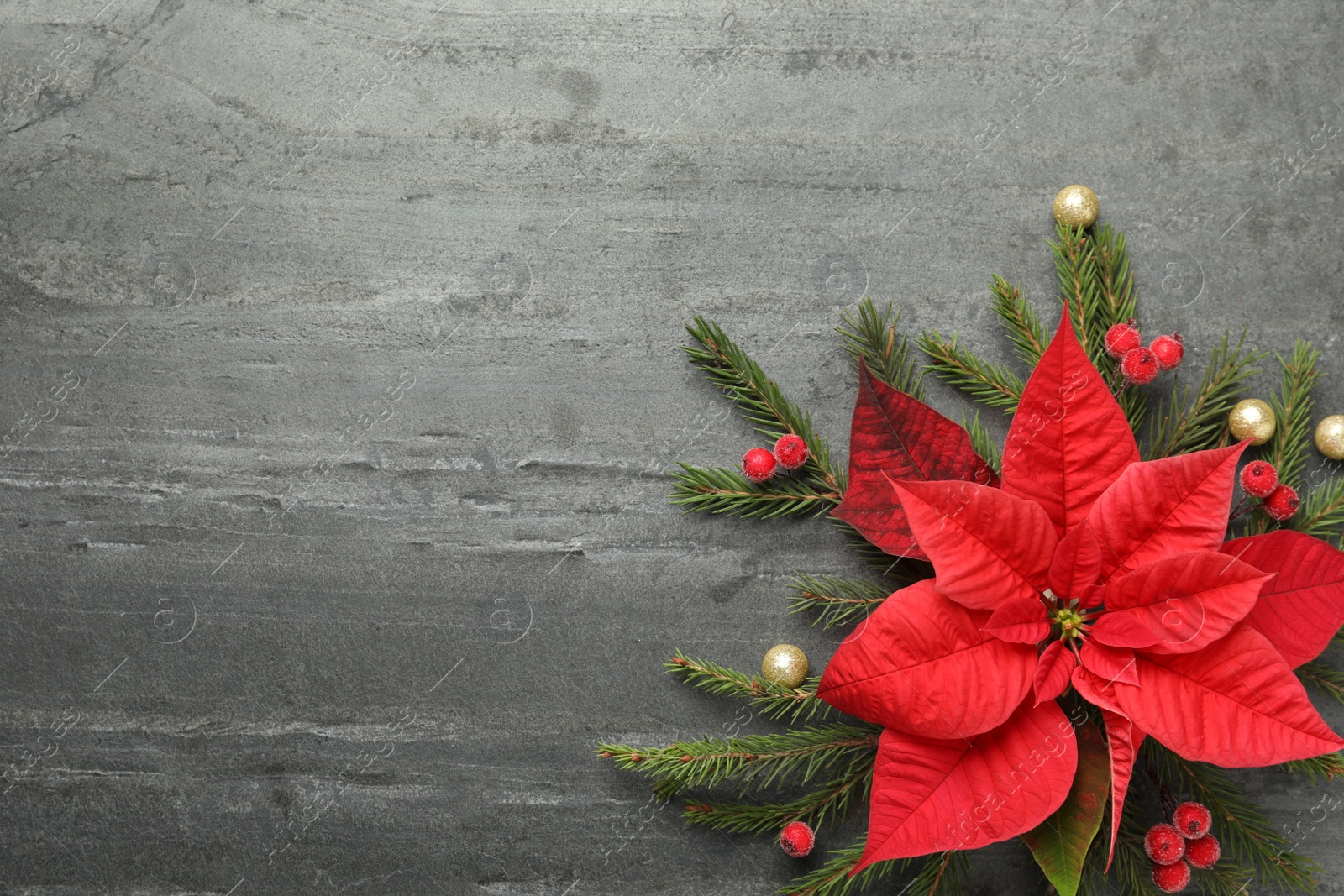 Photo of Flat lay composition with beautiful poinsettia on grey background, space for text. Christmas traditional flower