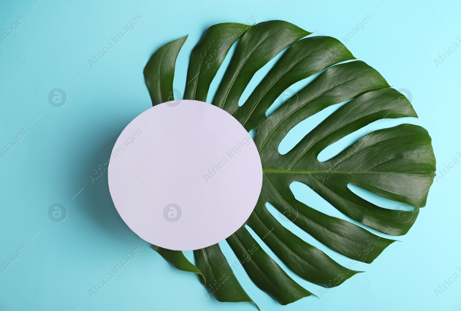 Photo of Blank card with tropical leaf on color background, top view