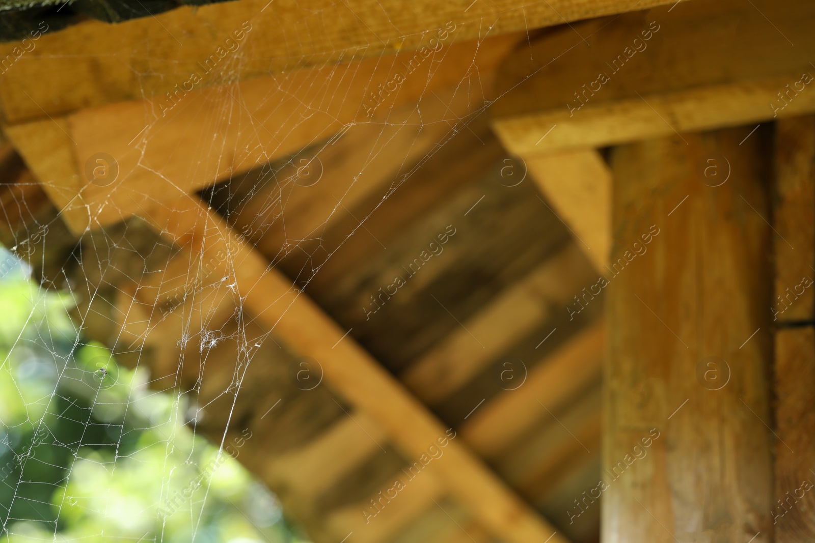 Photo of Cobweb on wooden building outdoors, closeup. Space for text