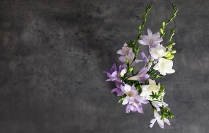 Photo of Beautiful fragrant freesia flowers and space for text on table, top view