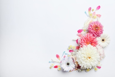 Photo of Beautiful dahlia and gerbera flowers on white background, flat lay. Space for text