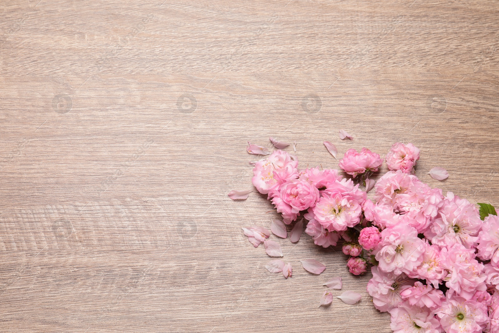 Photo of Beautiful sakura tree blossoms on wooden background, flat lay. Space for text