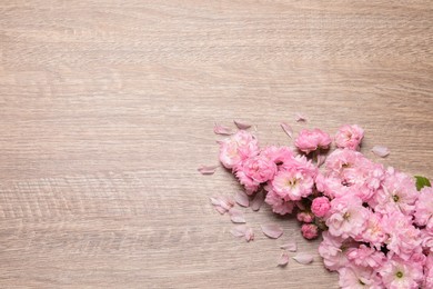 Beautiful sakura tree blossoms on wooden background, flat lay. Space for text